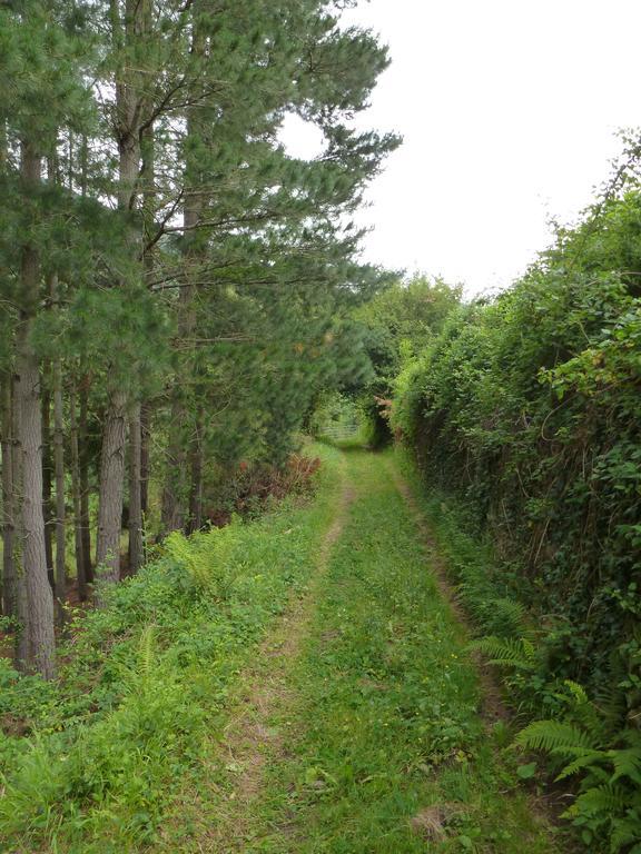 Viviendas Rurales Aldea De Dosamantes Pesaguero-La Parte Exterior foto