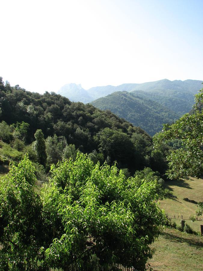 Viviendas Rurales Aldea De Dosamantes Pesaguero-La Parte Exterior foto